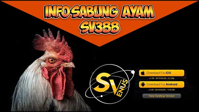 Info Sabung Ayam SV388